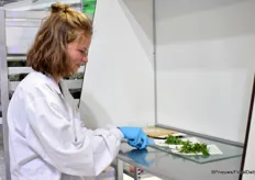 At KP Holland's location, all visitors were able to take a look inside the lab. Or rather, a piece of the lab was brought to the visitors so everyone could see how KP Holland houses their own propagation and tissue culture.